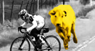Le Tour de France
rattrapé par les feux de forêts